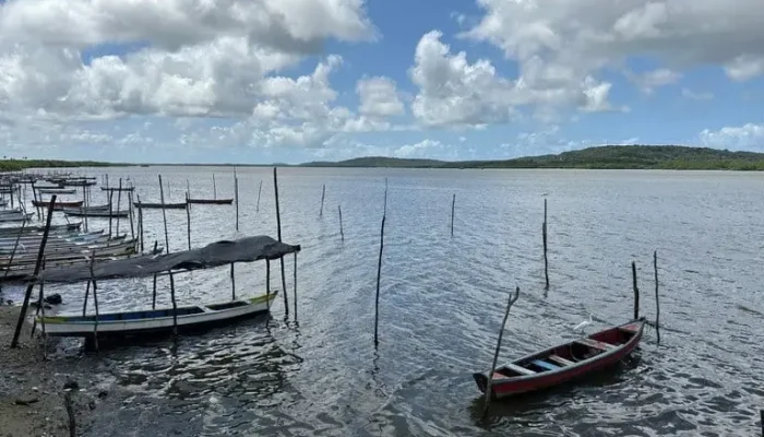 8557f565-6796-46bd-96db-de38370fe872