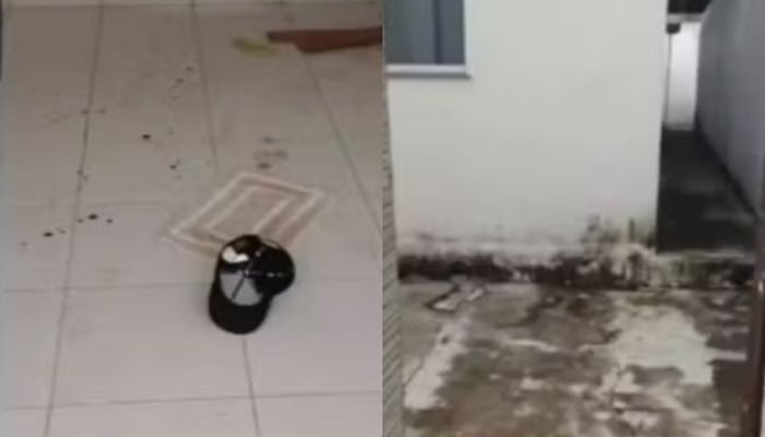 Reprodução