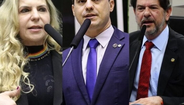 Redação
