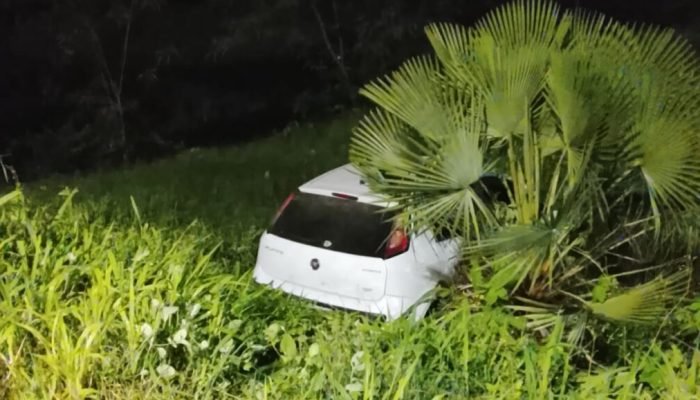 (Foto: Reprodução)