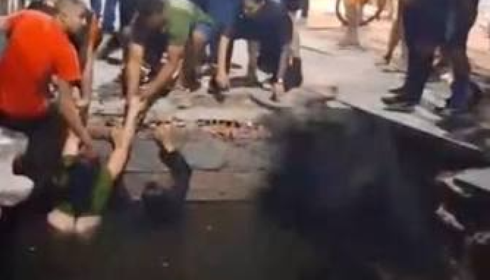 Redação