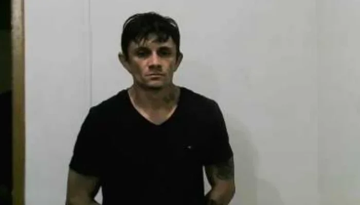 Redação