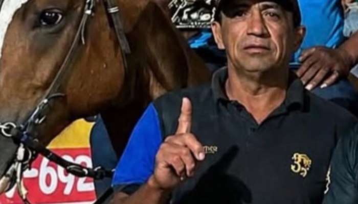 Redação