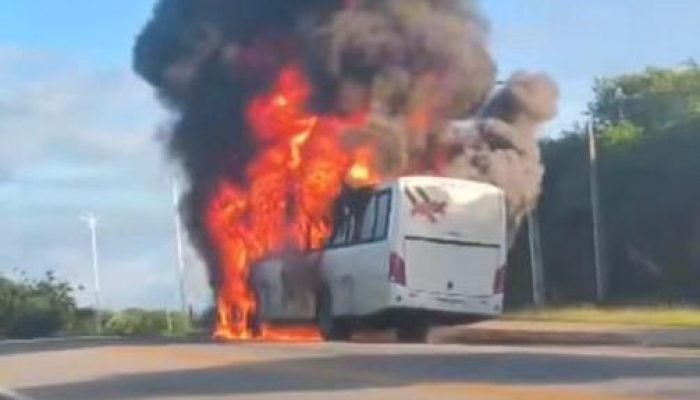 (Foto: Reprodução/Vídeo)