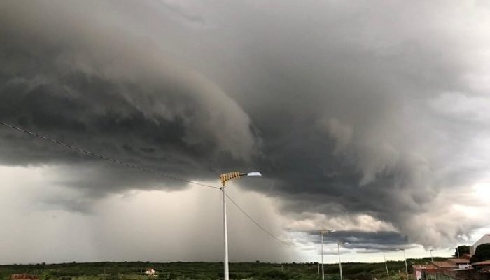 1 Minuto com Sérgio Machado