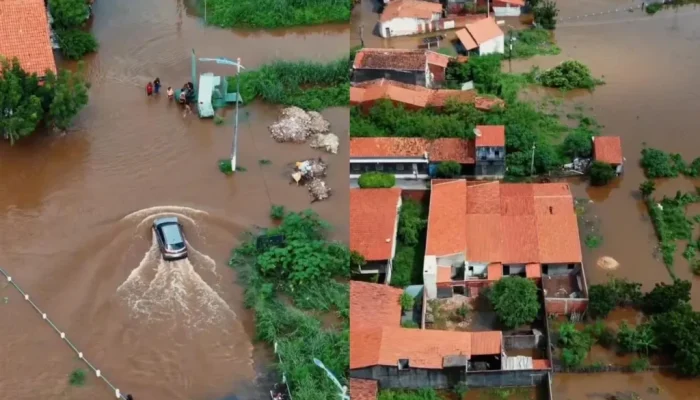 Redação