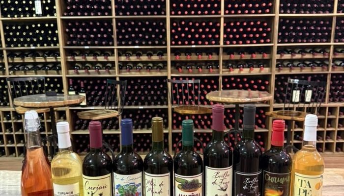 Apesar de ser chamado de “vinho de açaí”, a bebida é classificada como fermentado de fruta...