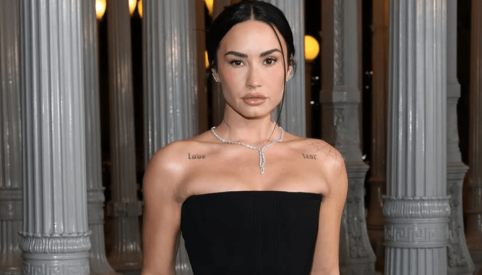 Demi Lovato cancela cinco shows de sua turnê nos Estados Unidos  • Instagram/Demi Lovato