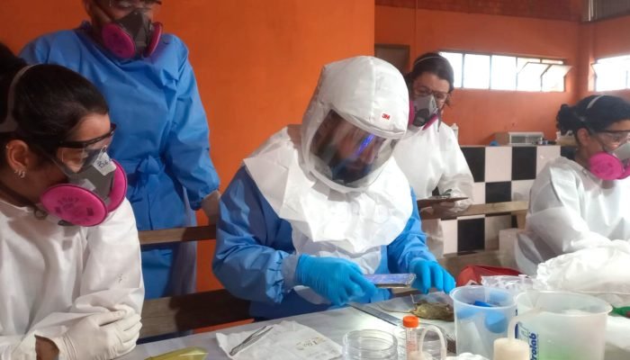 Casos do Hantavírus são confiirmados no Paraná (Foto: Divulgação / Sesa)