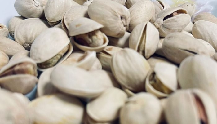 Brasil busca produzir pistache e testa cultivo na Serra da Ibiapaba, no Ceará. (Foto: Bruno Maff...