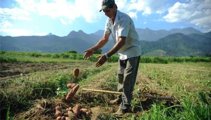 Mais de 80% dos produtores rurais do Centro-Oeste e Norte do Brasil identificam-se como de direit...