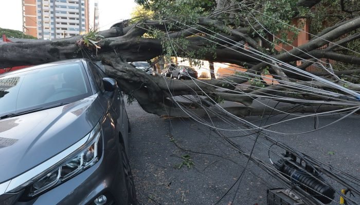 © Paulo Pinto/Agência Brasil