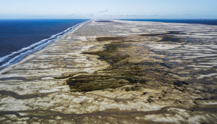 © Acervo NEMA/Divulgação/Ministério do Meio Ambiente