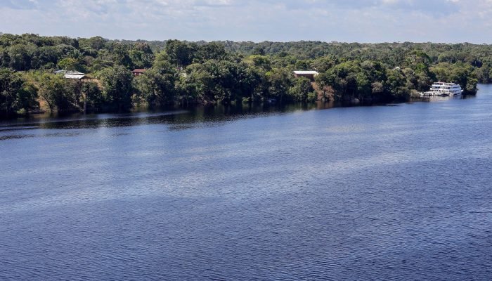 Trecho da Floresta Amazônica margeado pelo Rio Negro. (Foto: Fabio Rodrigues-Pozzebom/Agência B...
