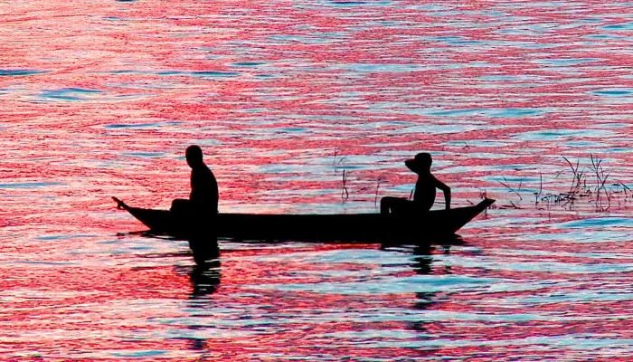 © Divulgação TV Brasil