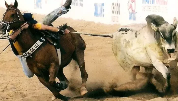 Vaquejada foi alvo de polêmicas. Foto: Arquivo